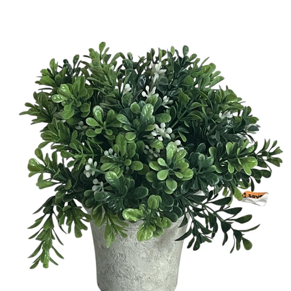 Elegant White Planter with Lush Greenery